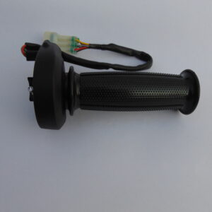Electronic throttle manufacturer in india